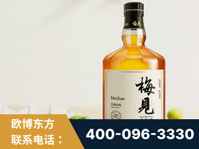 宿州-梅见青梅酒